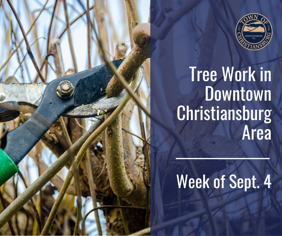 Graphic of lopper trimming tree branches