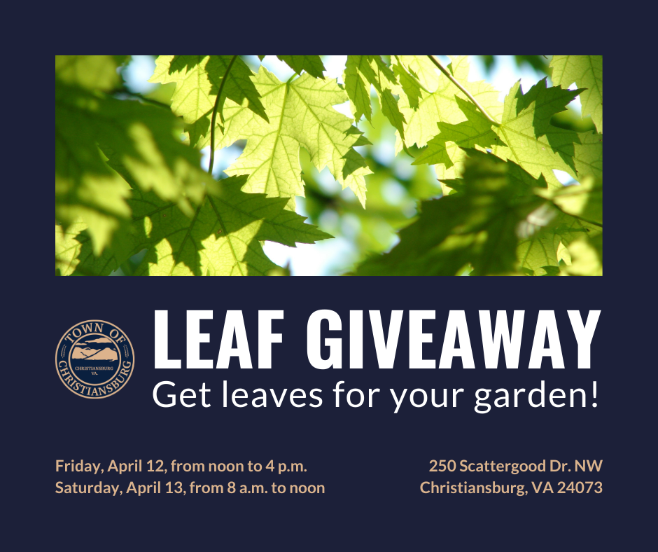 LEAF GIVEAWAY