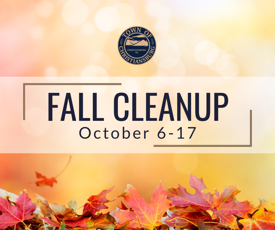 Fall Cleanup 2025
