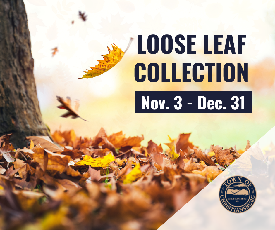 Loose Leaf Collection 2025