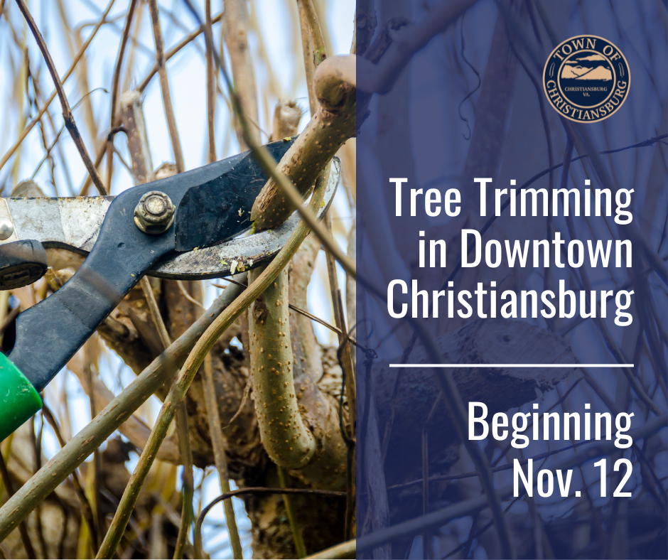 Tree Trimming operations beginning Nov. 12, 2025