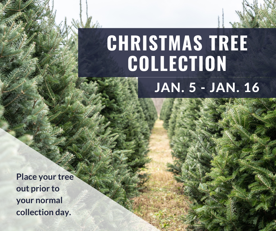 Christmas Tree Collection - Jan. 5-16
