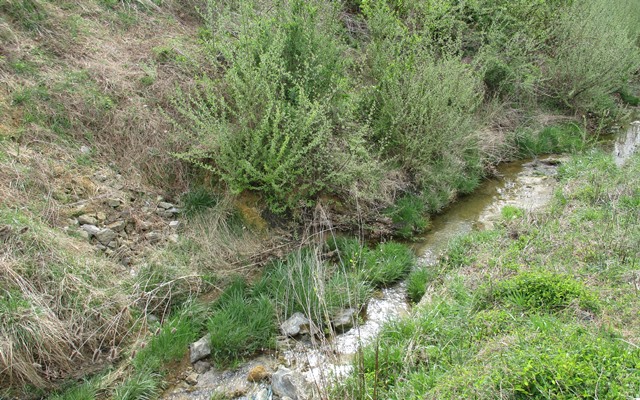 Blue Leaf Stream Erosion 